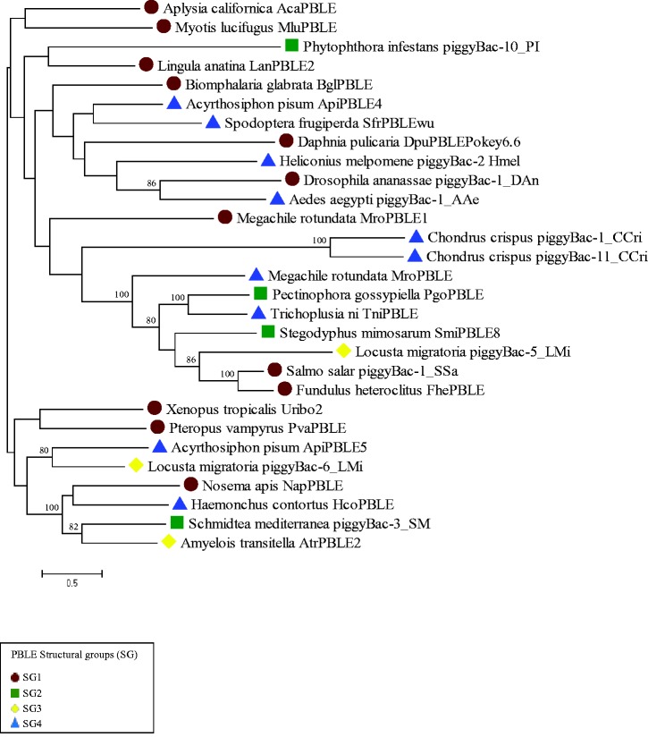 Fig. 3.—