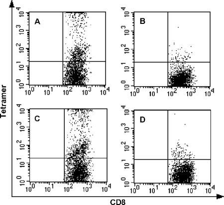 FIG. 2.