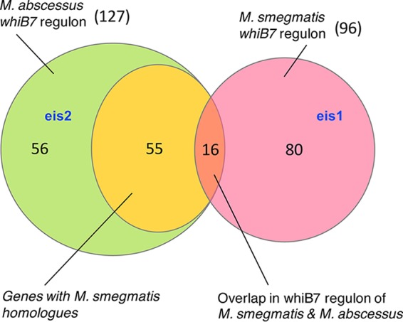 FIG 5