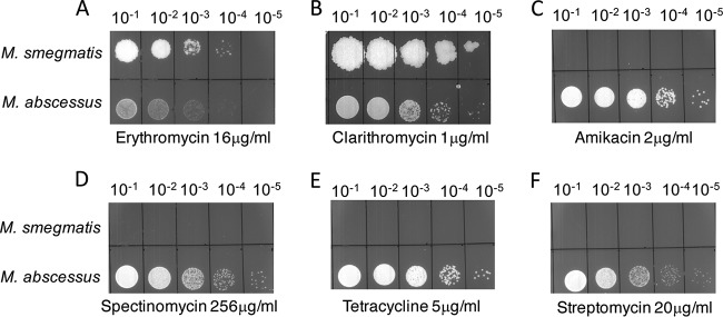 FIG 1