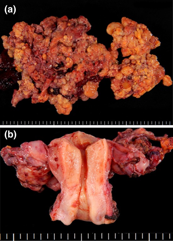 Fig. 2