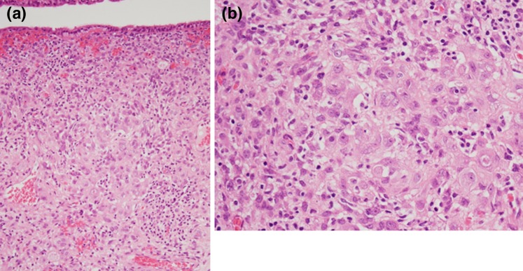 Fig. 3