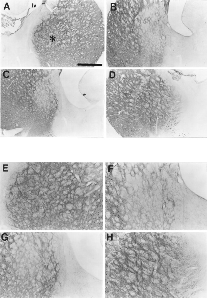 Fig. 8.