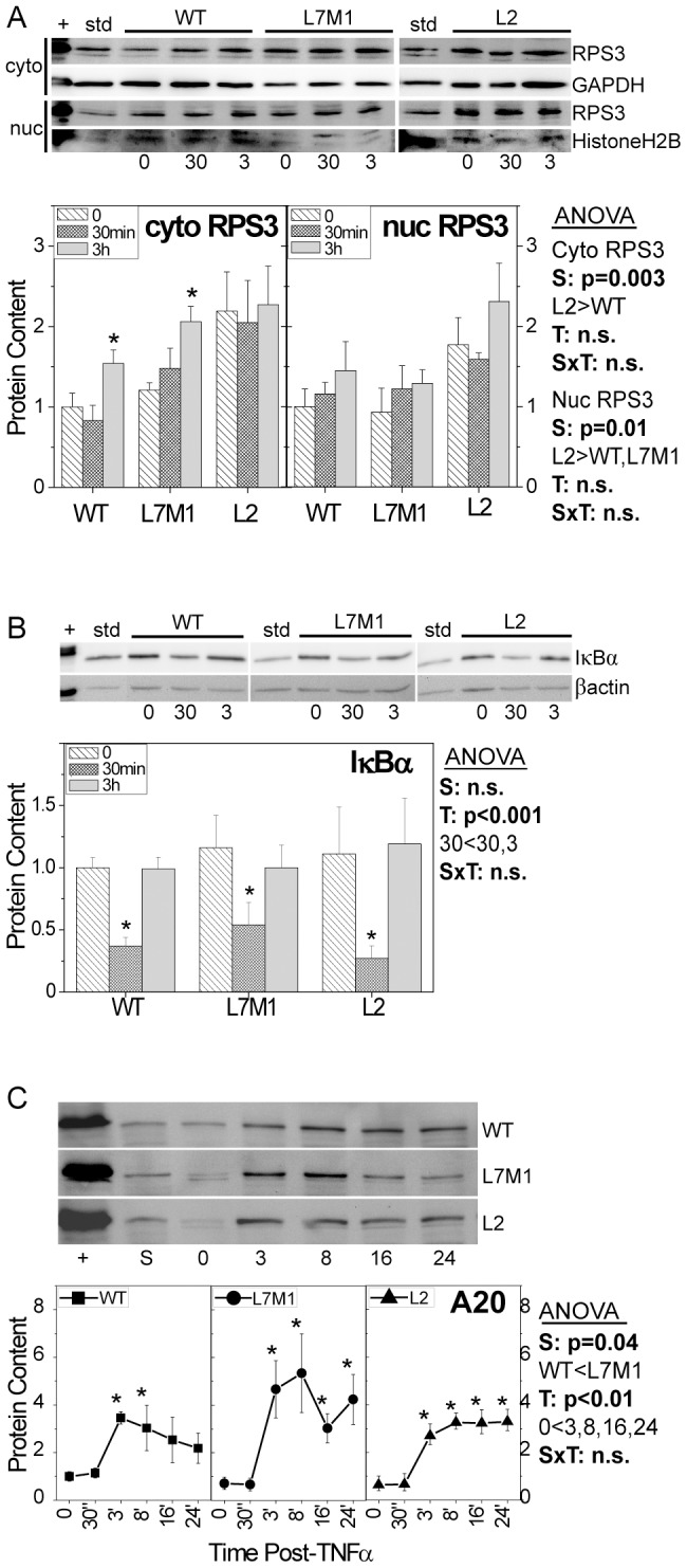 Figure 5.Content