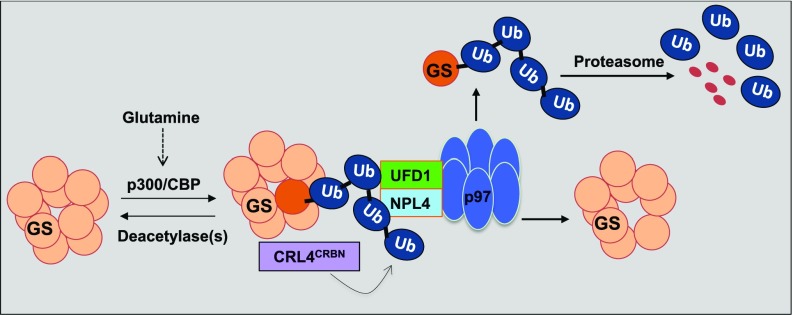 Fig. 7.