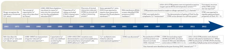 Timeline