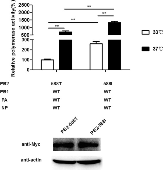 FIG 1