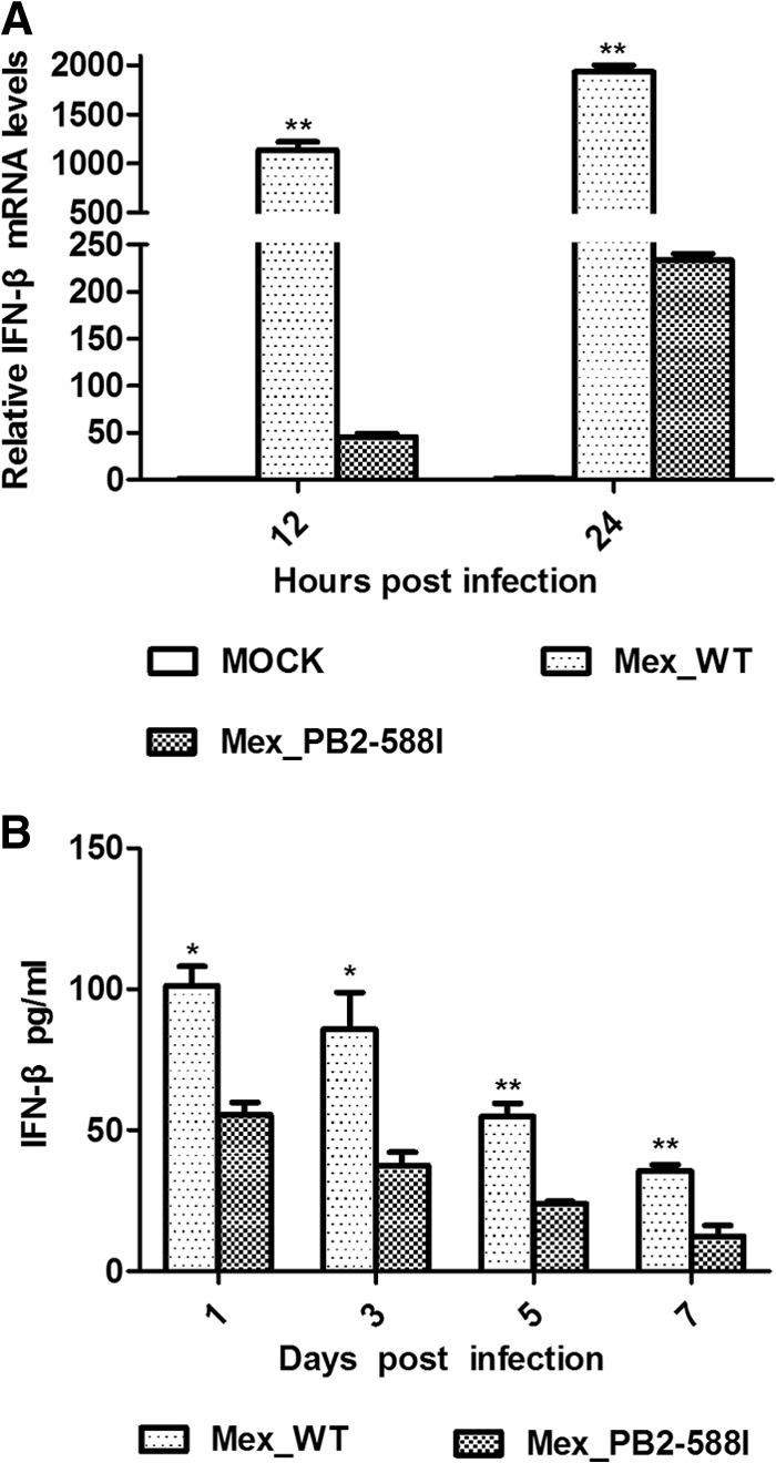 FIG 6