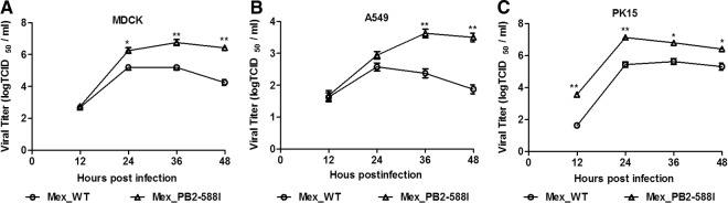 FIG 2