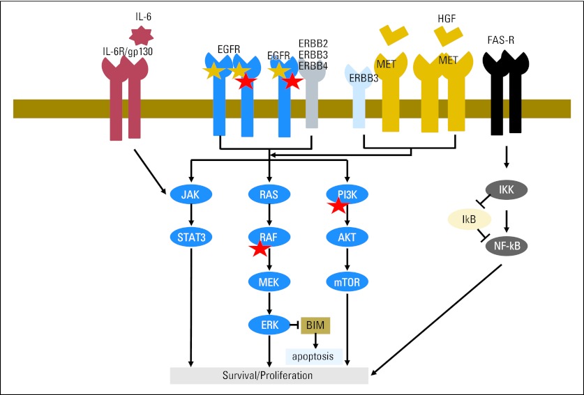 Fig 3.