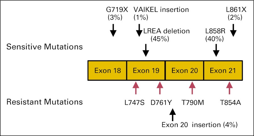 Fig 1.