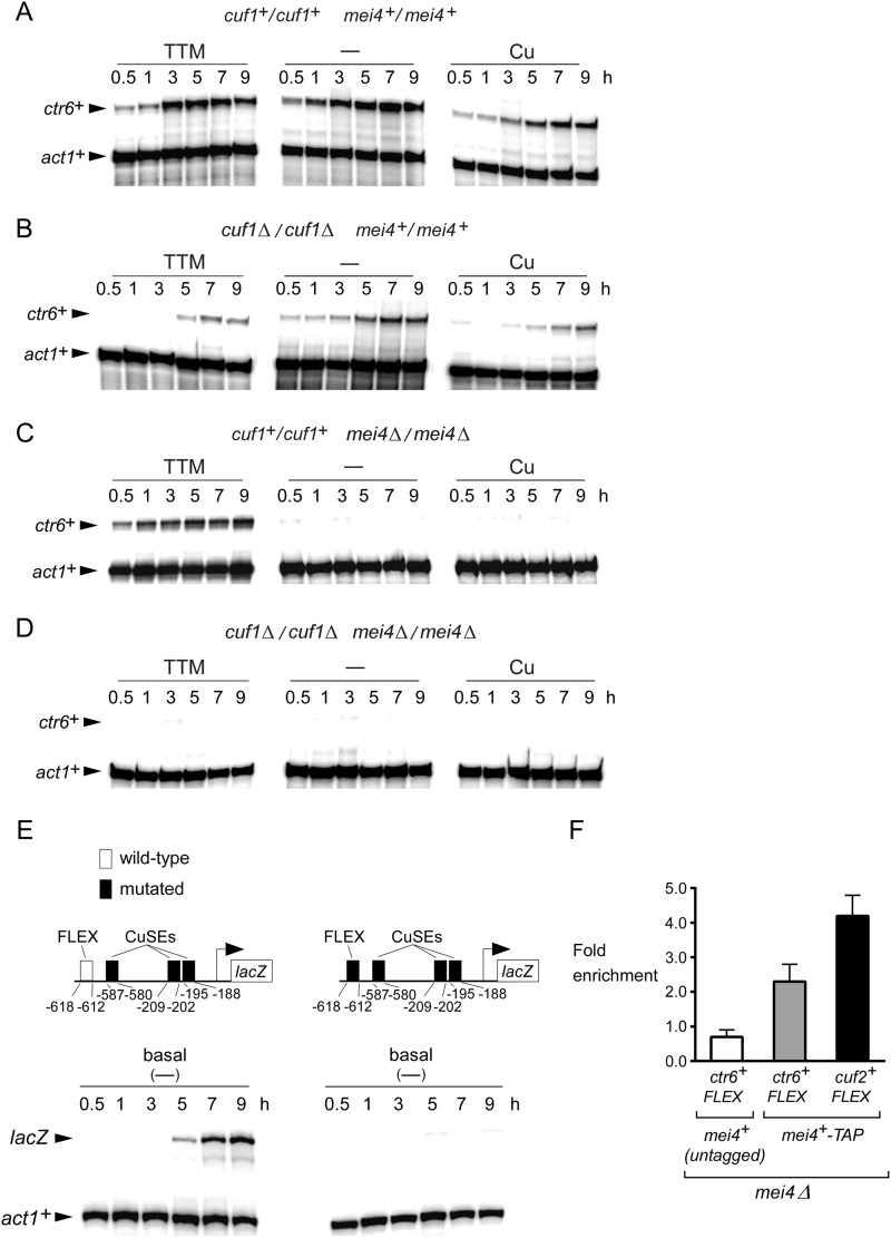 FIGURE 2.