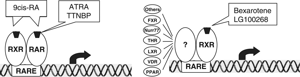 Fig. 13.2