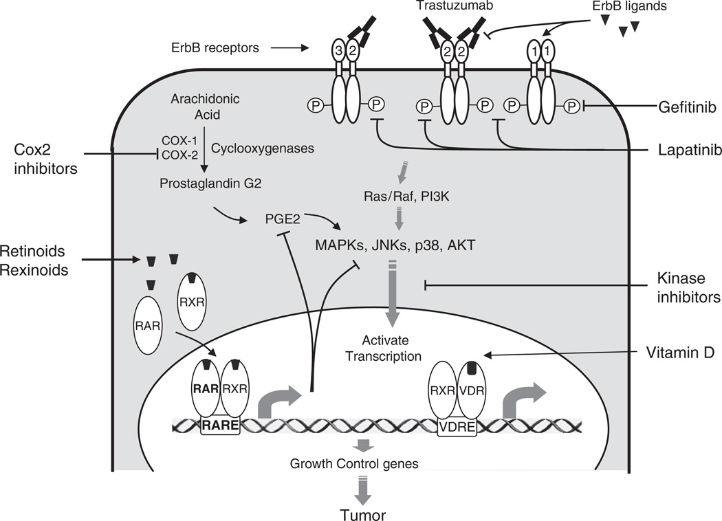 Fig. 13.1