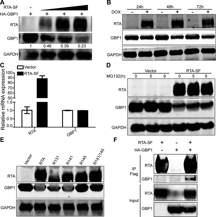 FIG 6