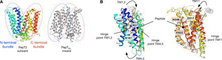 Fig. 7