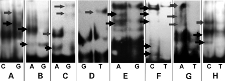 Figure 2.