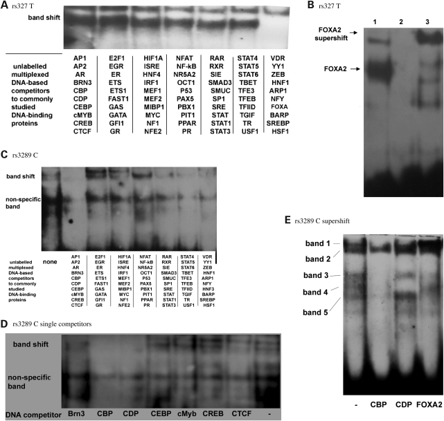 Figure 4.