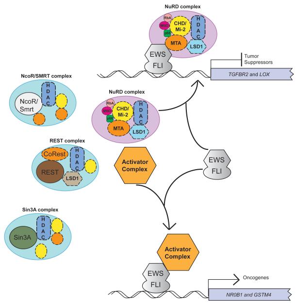 Figure 7