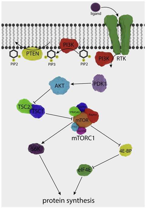 Figure 6.