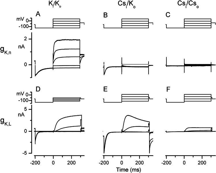 Figure 5