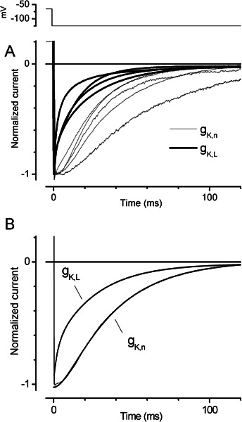 Figure 4