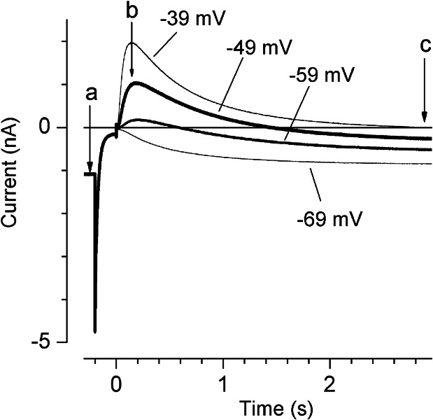 Figure 6