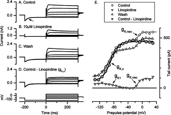 Figure 1