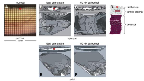 Fig. 8