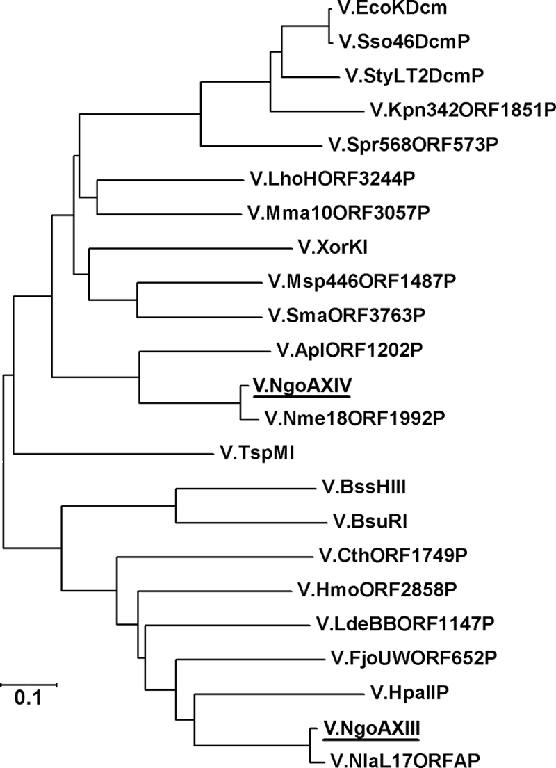 FIG. 1.