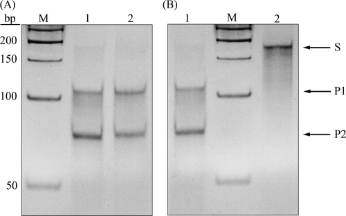 FIG. 5.