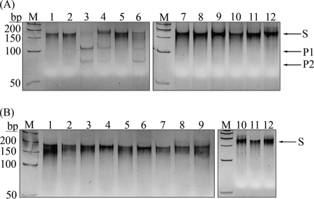 FIG. 7.