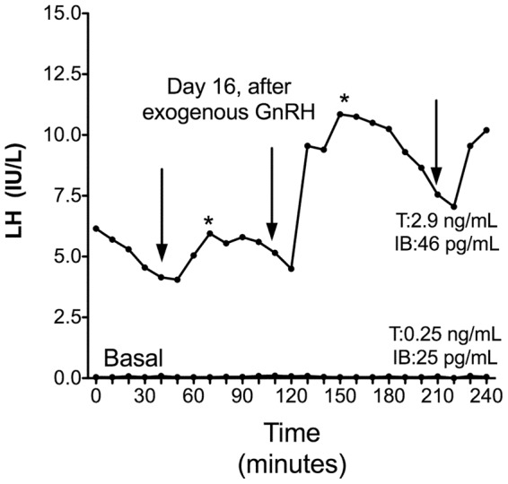 Figure 2