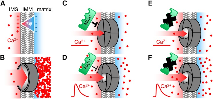 Figure 9.