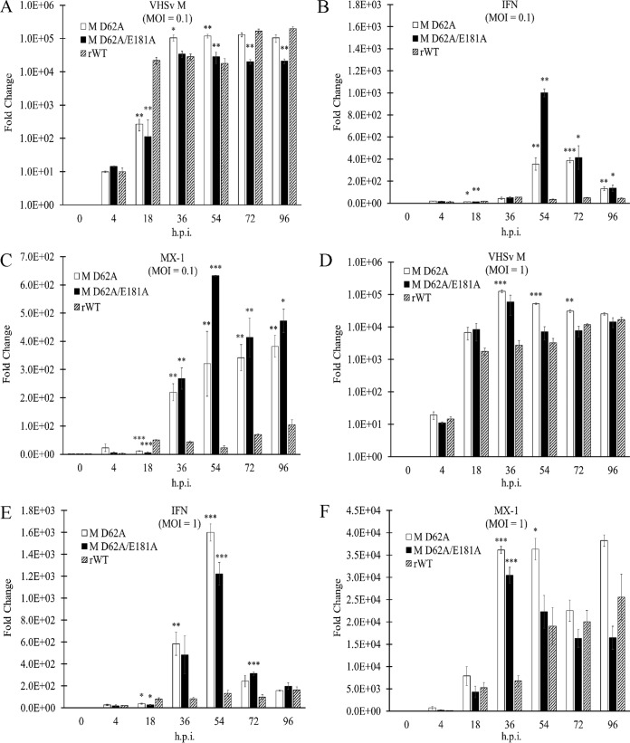 FIG 13