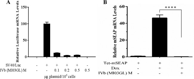 FIG 3