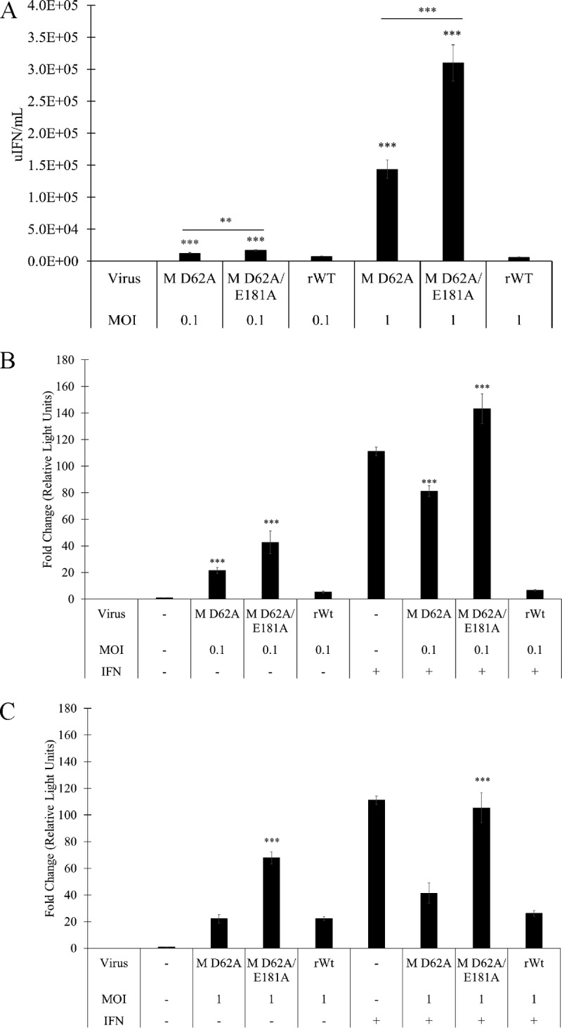 FIG 12