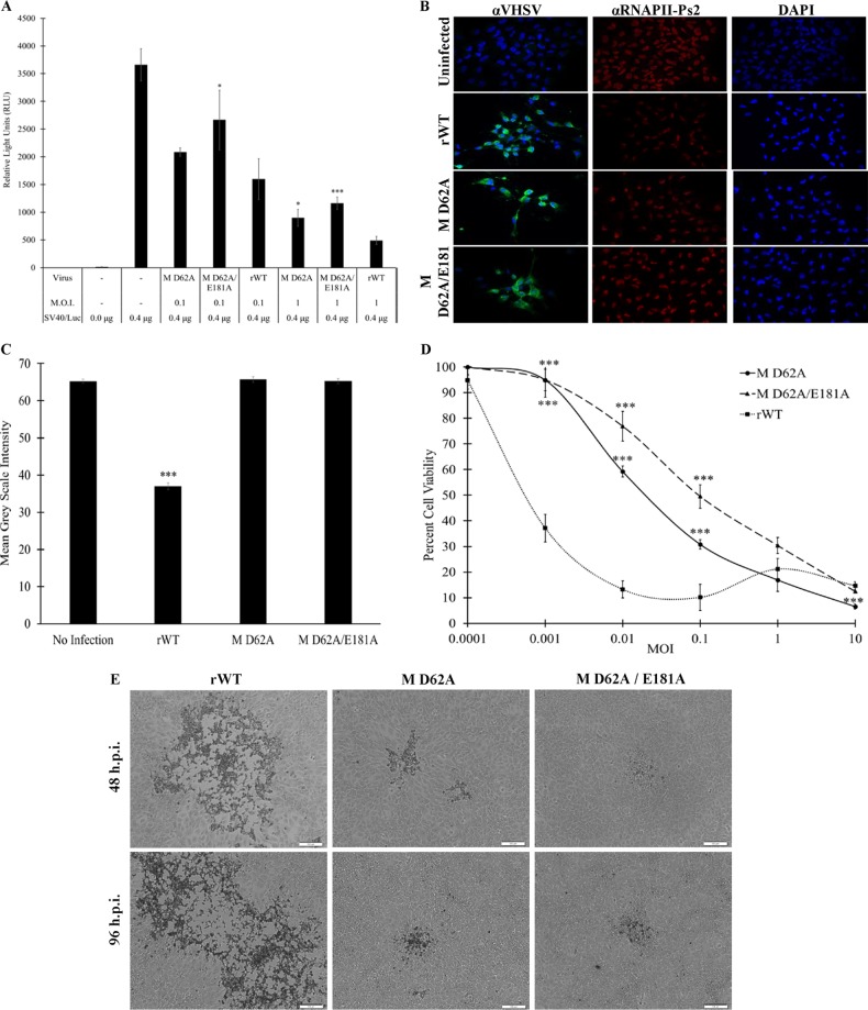 FIG 10