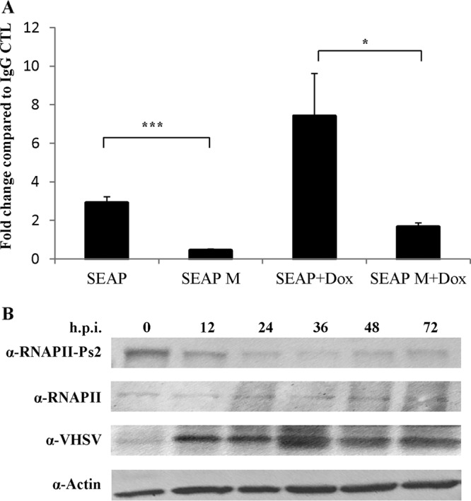 FIG 6