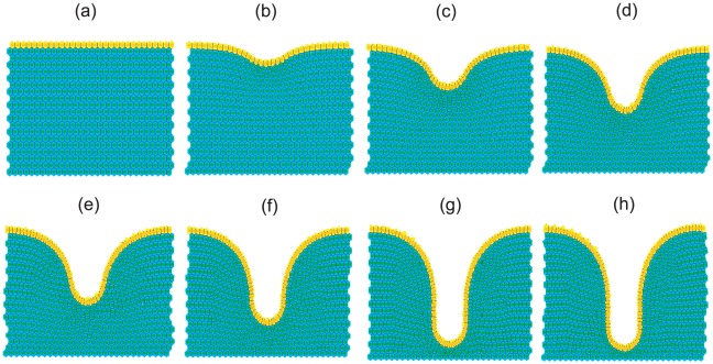 Figure 12