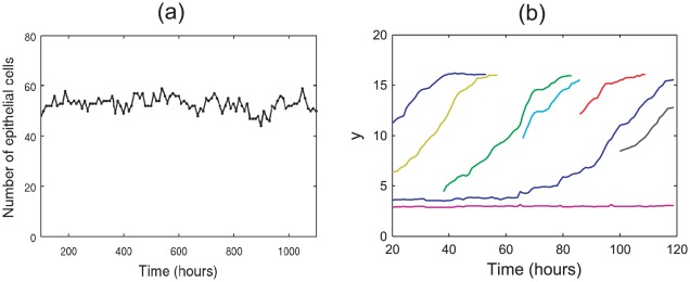 Figure 15