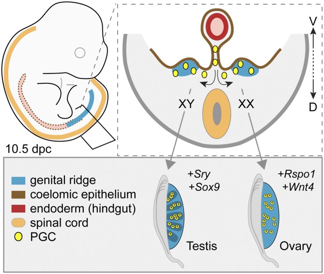 Figure 3.