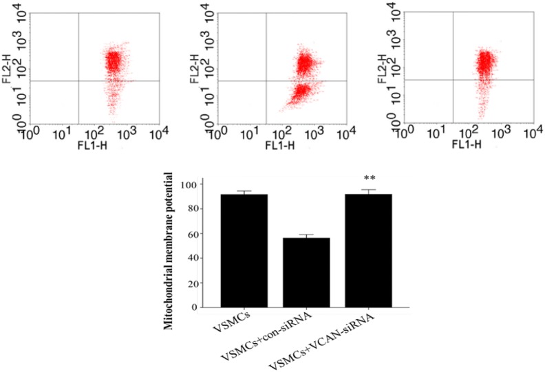 Fig. 11