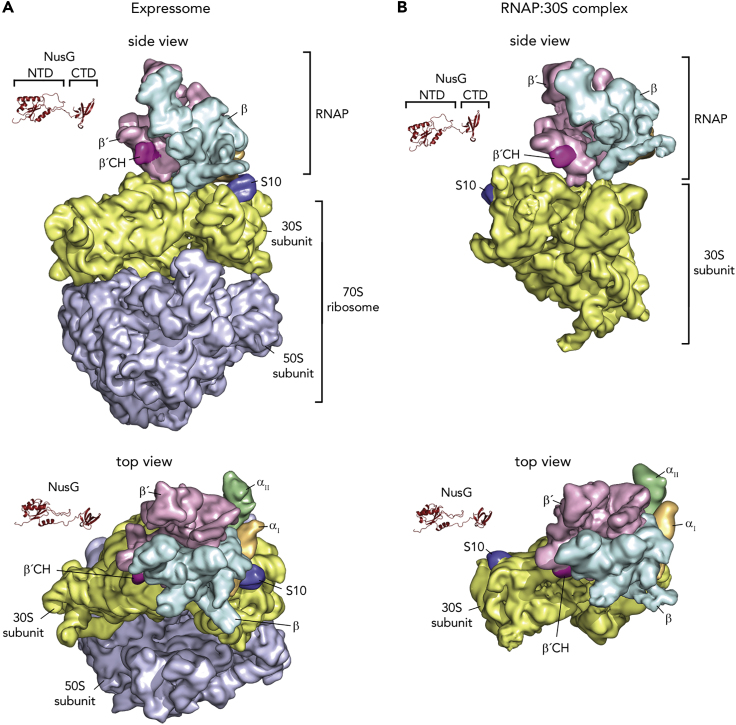 Figure 6