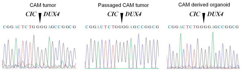 Figure 7