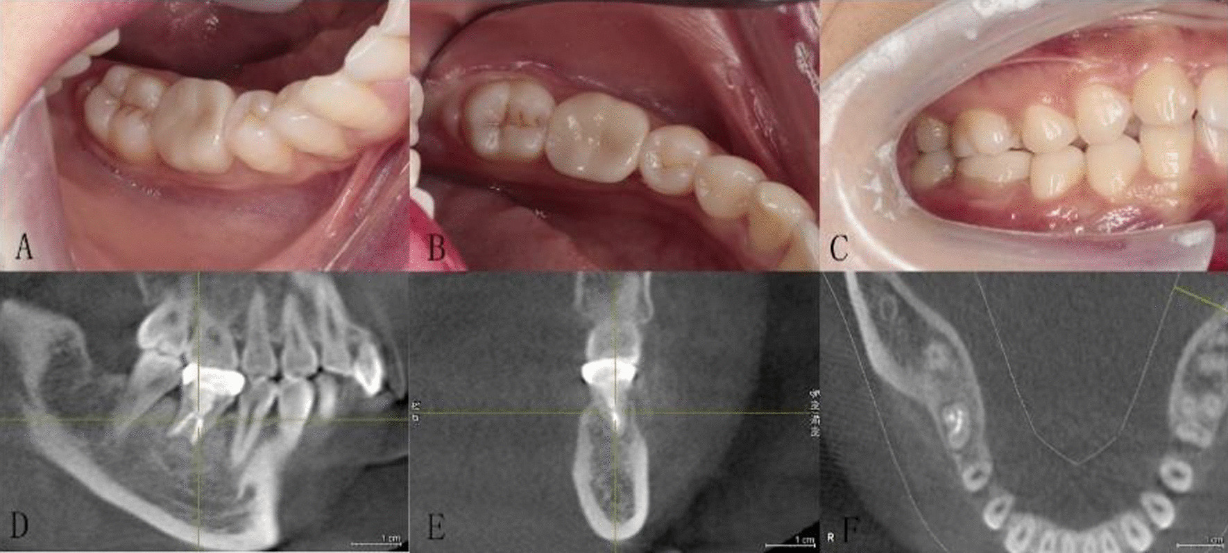 Fig. 5