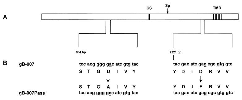 FIG. 8