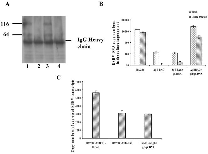 FIG. 9.