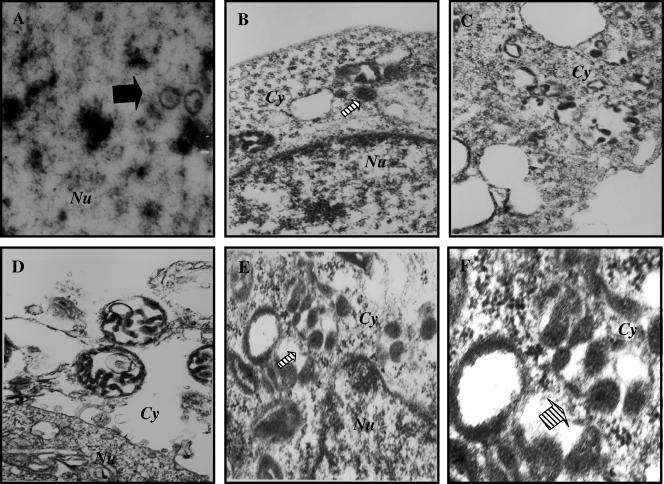 FIG. 7.