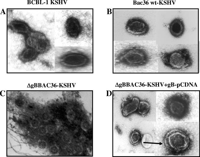 FIG. 10.